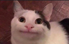 beluga.png