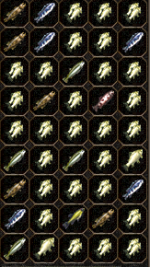 rybkiii.PNG