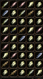 rybki7.PNG