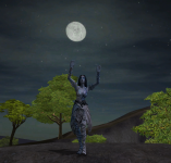 image3.png
