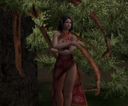 ada shaman 1.png